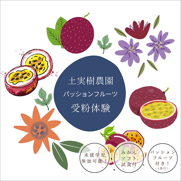 キャンペーン