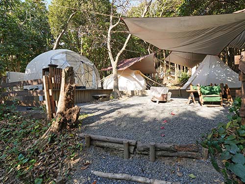 TASO FOREST CAMP