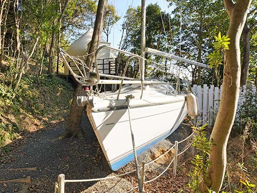 TASO FOREST MARINA